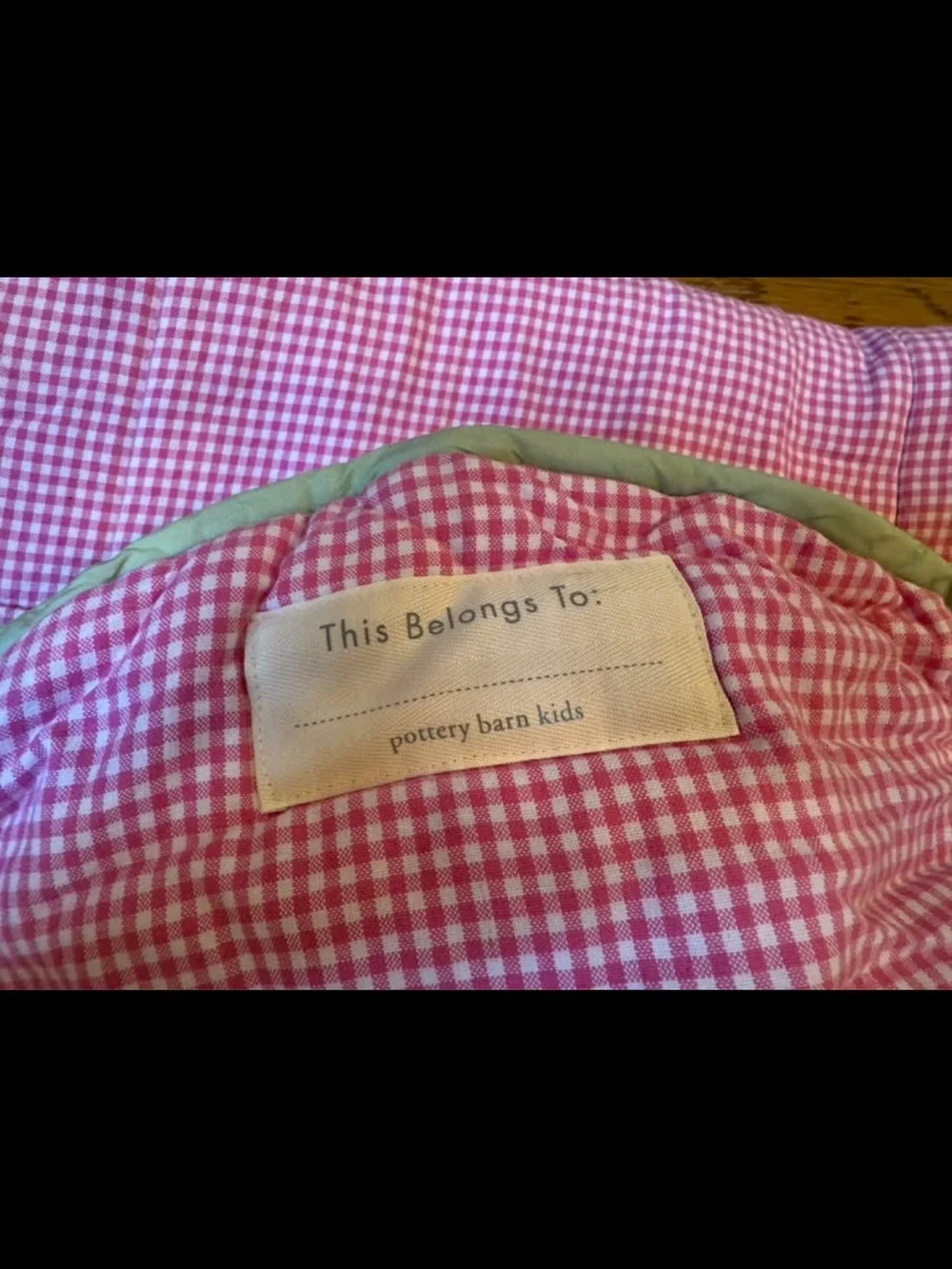 Pottery Barn Kids Shaggy Head Dog Puppy Sleeping Bag Pink White Gingham